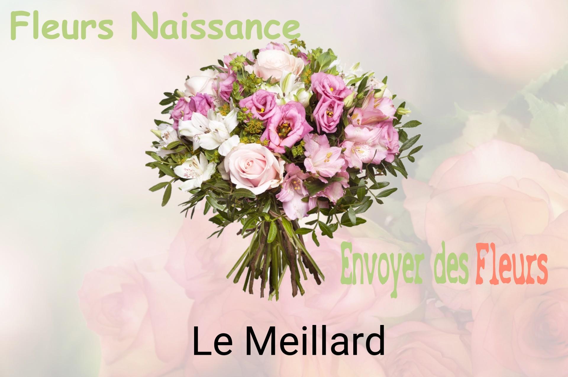 Bouquet de fleurs de naissance livré à Le Meillard