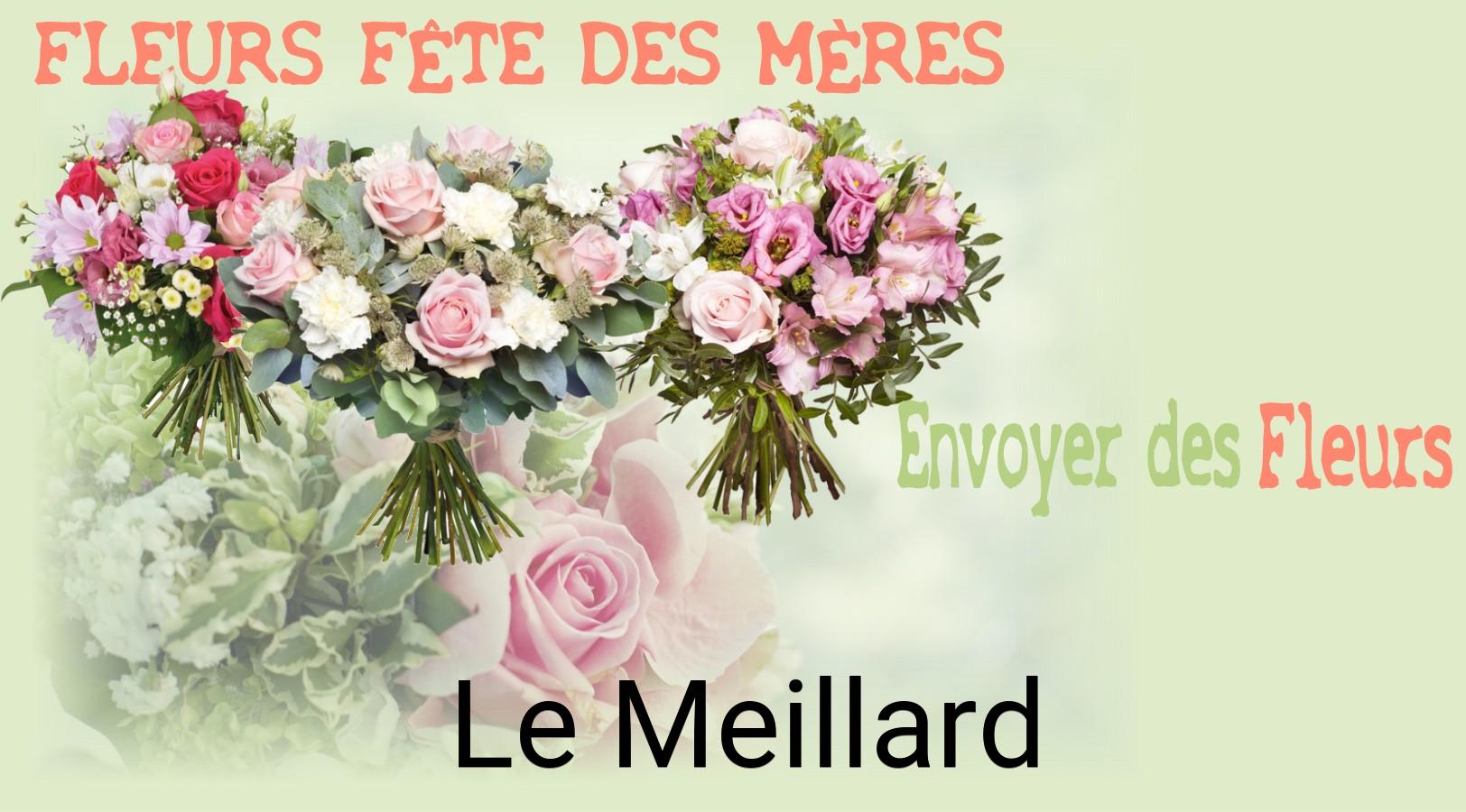 Bouquet de Fête des Mères livré à Le Meillard